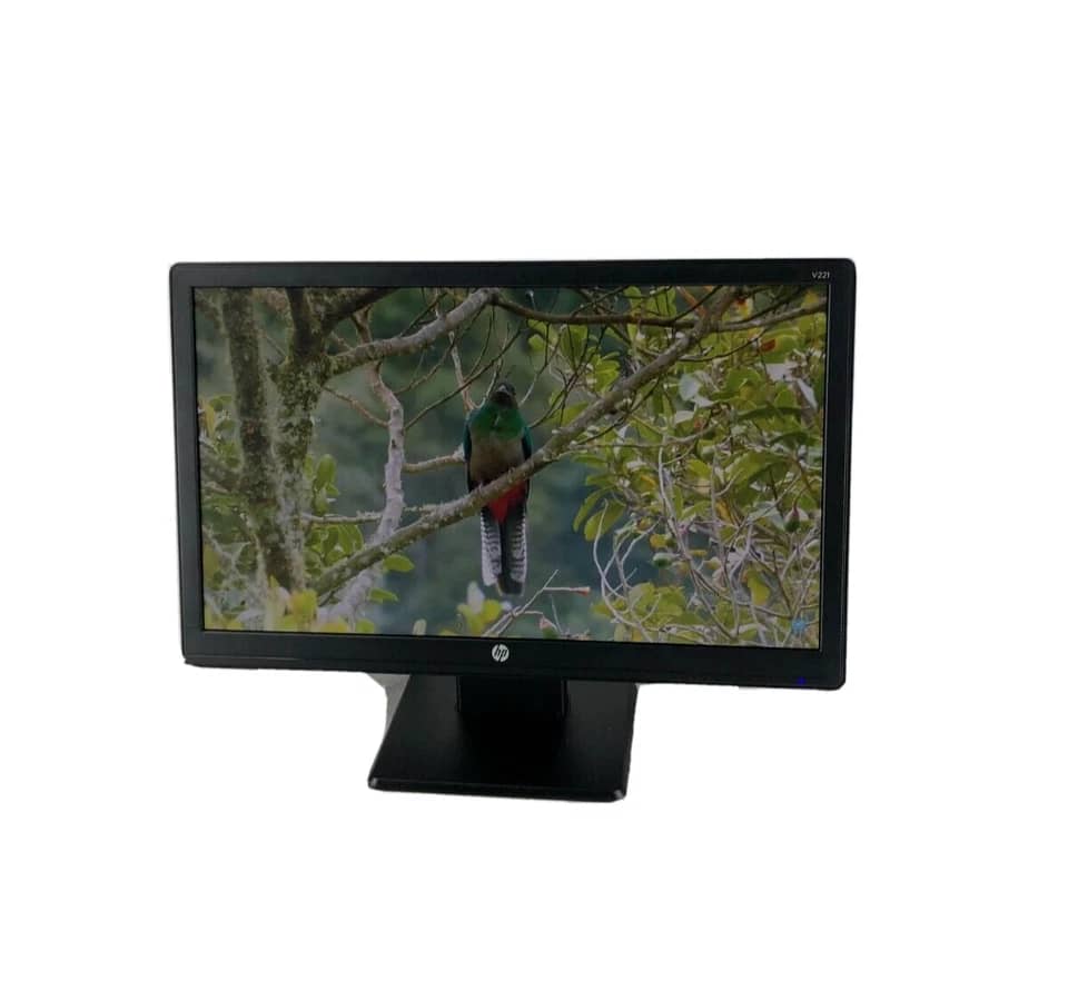 HP V221 Monitors Used - Good Black