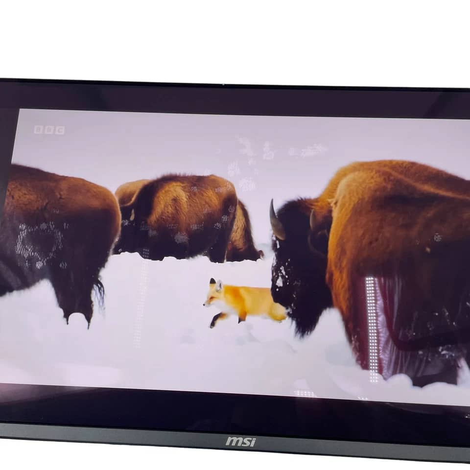 MSI MAG 321UPX Monitors New Black