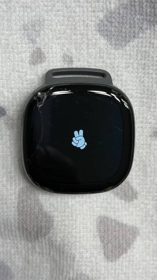 Fitbit Fitbit Ace LTE Smartwatches New Black