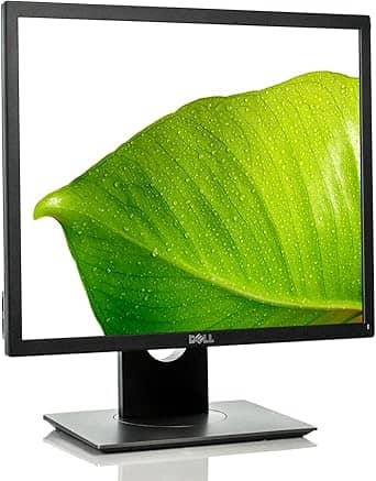 Dell P1917S Monitors New Black