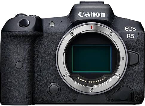 Canon EOS R5 Digital Cameras Black New