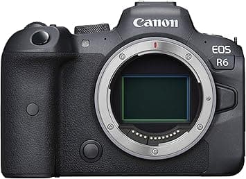 Canon EOS R6 Digital Cameras