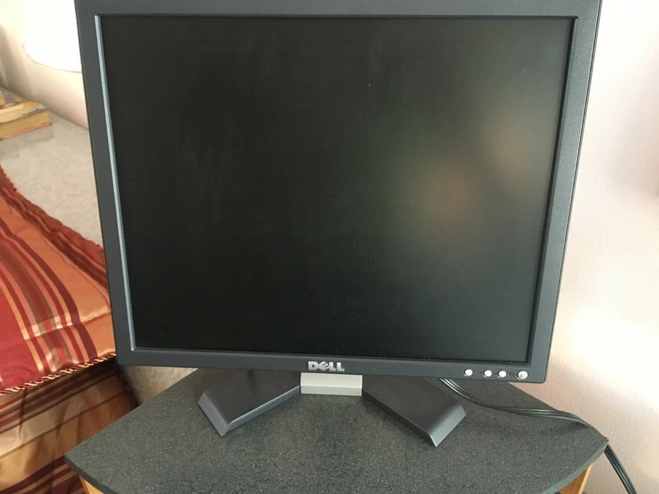Dell E176FP Monitors