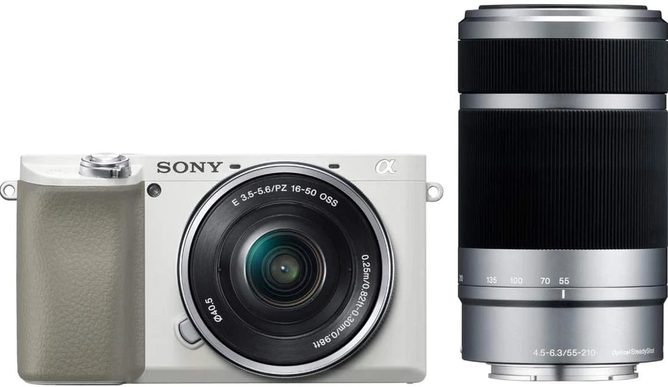Sony α6100 Digital Cameras