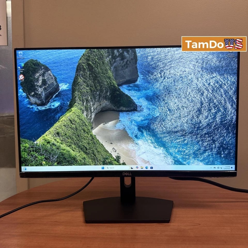 Dell SE2419HR Monitors