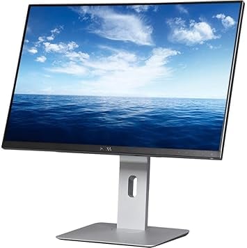 Dell U2415 Monitors