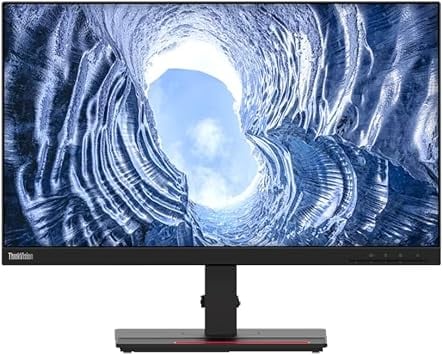 Lenovo ThinkVision T24i-2L Monitors