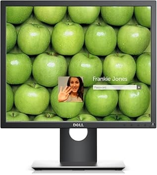 Dell P1917S Monitors