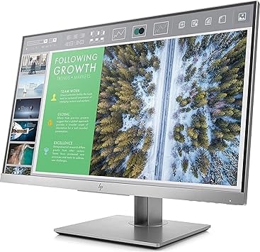 HP E243 Monitors